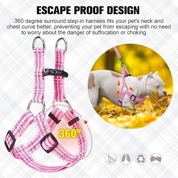 BEAUTYZOO No Pull Small Dog Harness and Leash Set, No Chock Puppy Step in Vest Harness Nylon Lightweight Neck&Chest Adjustable for Dogs Girls and Boy, Pet Harness for Small Medium Dogs