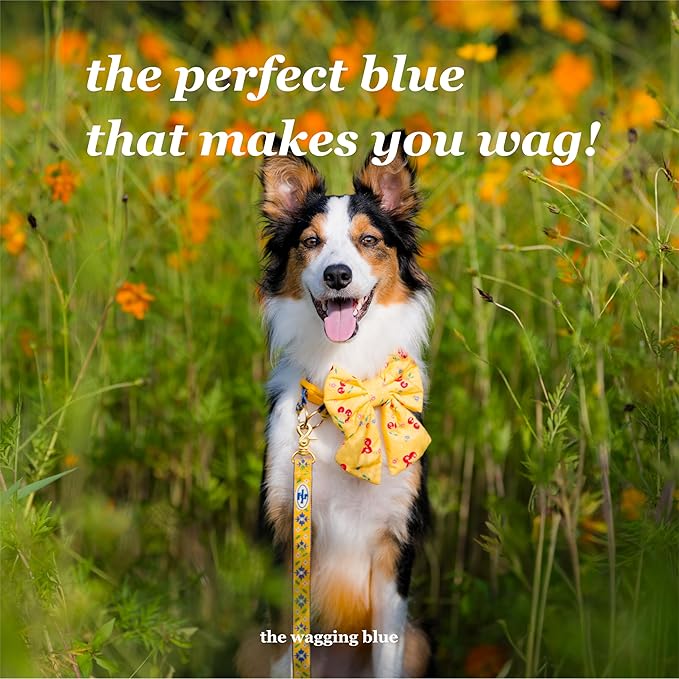 Signature Dog Leash – 63in Durable Double-Sided Jacquard Webbing, Ergonomic 0.8in Grip, Safety-Tested Hardware – Made in Korea (Basic, Peony)