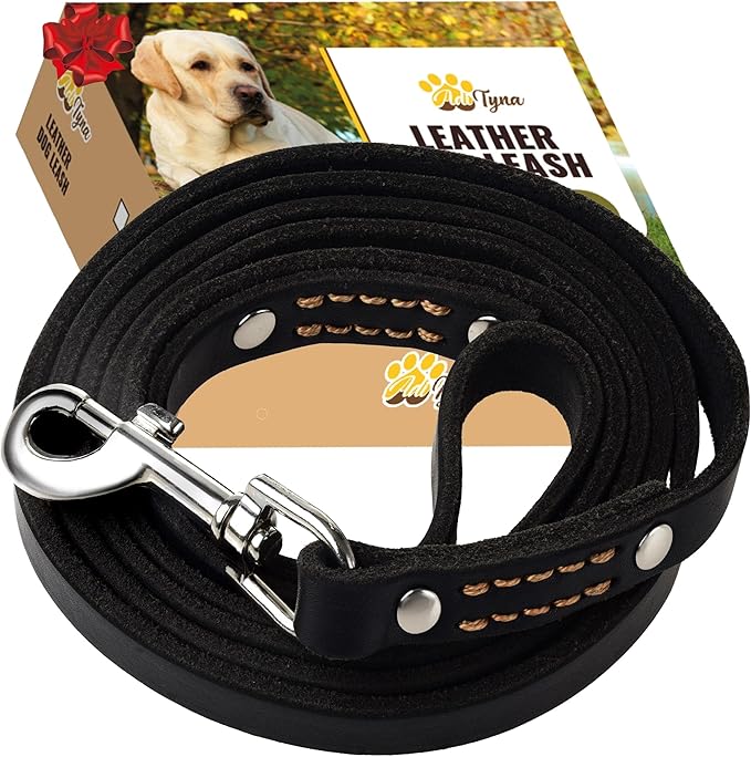 ADITYNA - Premium Leather Dog Leash - 6 ft, Heavy-Duty, Soft & Strong for Small/Medium Dogs (Medium: 6 ft x 5/8", Black)