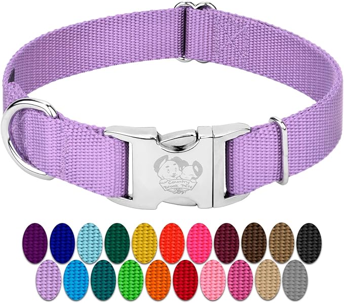 Country Brook Petz - Premium Nylon Dog Collar with Metal Buckle for Small Medium Large Breeds - 10+ Cool Colors (Medium, 3/4 Inch, Lavender)