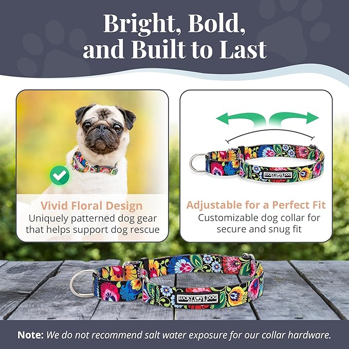Lucky Love Dog Martingale Dog Collar & Leash - Adjustable, No-Slip, Durable, Comfortable, Soft Webbing, & Stylish Patterned Collar & Leash Set for Male and Female Dogs - Blackbird Combo, Medium