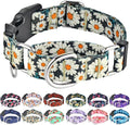 Martingale Collar for Dogs Flower Dog Collars with Quick Release Buckle Adjustable Nylon Soft Dog Collar for Large Dogs, Daisy