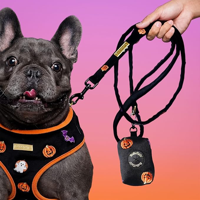 5 FT Stylish Dog Leash, Soft Dog Leashes with Comfortable Padded Handle, Metal Carabiner Clip, Strong No Pull Pet Leash for Small Medium Dogs for Walking, Shopping and Running