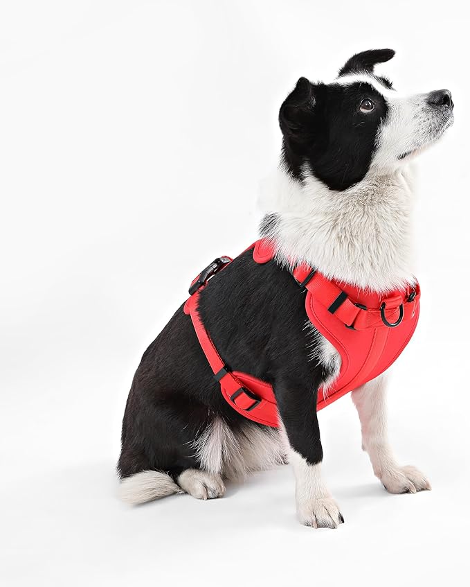 HNS1003M Arlo Large Adjustable Soft Padded No Pull Pet Harness with 3 Buckles and 3 Leash Clips, Shirley