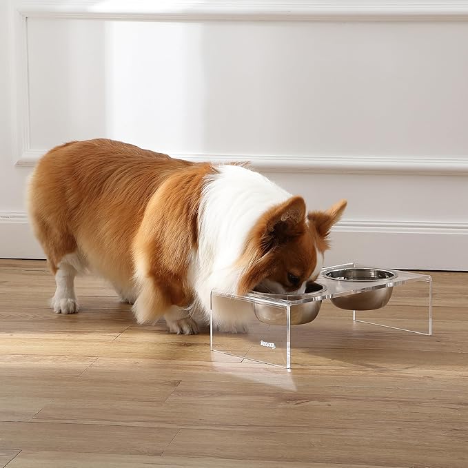 The LICKER Store DBL2000A Keaton 5" Small/Medium Modern Lucite Rectangular Elevated Pet Feeder with 20oz 2-Stainless Steel Bowls, Clear/Chrome