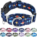 Martingale Dog Collars with Buckle No Slip Training Boy Dog Collar for Small Dogs (Blue Space, Small)