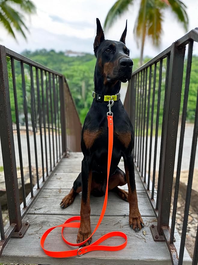 6ft Long Leash for Dogs - 1000lb Strength, Waterproof with Stainless Steel Hardware, Durable Long Dog Leash for Large Breeds