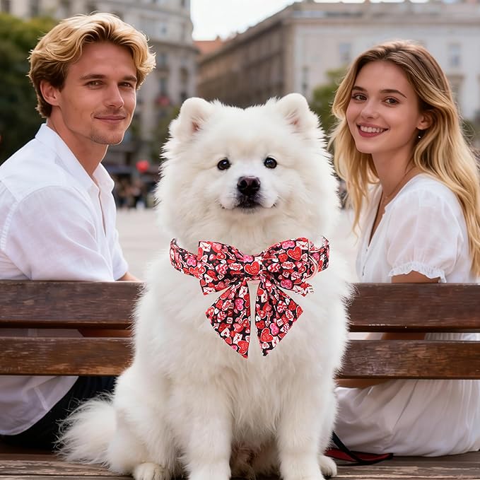 DOGWONG Valentine's Day Dog Collar-Cute Red Heart Dog Collar with Sailor Bowtie, Comfortable Girl Dog Collars with Metal Buckle,S