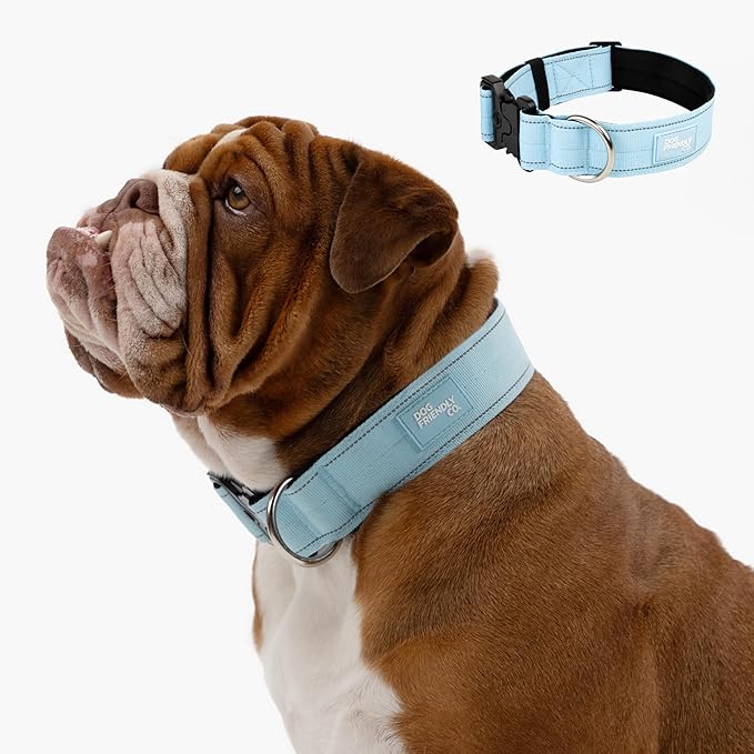 DF Co. Tactical Dog Collar | Comfortable & Secure with Quick Release Clip Buckle and Heavy Duty D-Ring | Soft Padded Neoprene, Chafe Resistant, Night-Time Visibility | Sky Blue, Size M