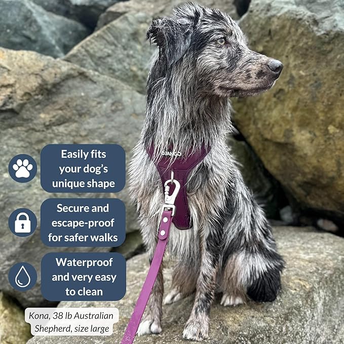 DJANGO Tahoe No Pull Dog Harness – Escape-Proof Dog Harness for Large & XL Dogs with Front & Back Clips for Everyday Use – Adjustable, Padded, Reflective, Secure, Easy On/Off – Raspberry Purple, XXL