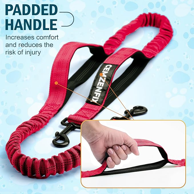 Hands Free Dog Leash with Waist Belt – No-Pull Bungee, Dual Padded Handles & Zipper Pouch for Running, Walking & Training – Adjustable Waist Leash for Large & Medium Dogs