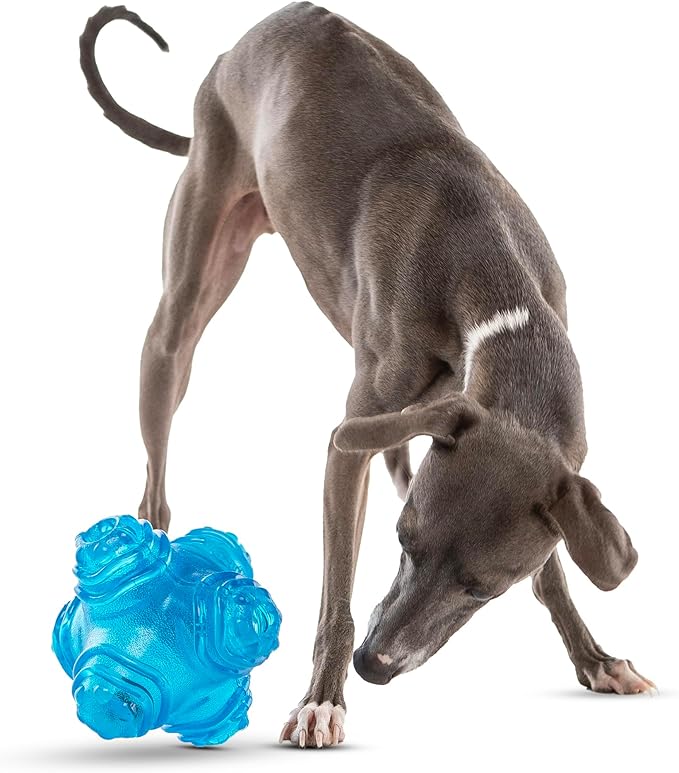 GURU Pet: Puzzle Jack - Medium - 5.5" Blue Dog Toy, Interactive Treat Dispensing, Slow Feeding, Easy Loading, Durable Chew, Tumble-Bounce-Solve-Play