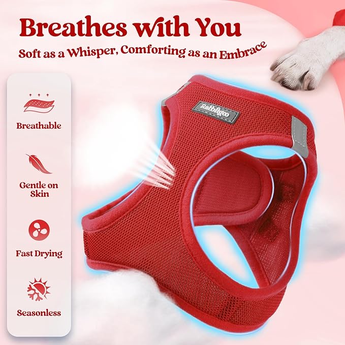 rabbitgoo Dog Harness Small Sized and Leash Set, Step in Soft Light Puppy Vest, Breathable Mesh Pet Harness, Reflective for Outdoor Safe Walking, Red XXL