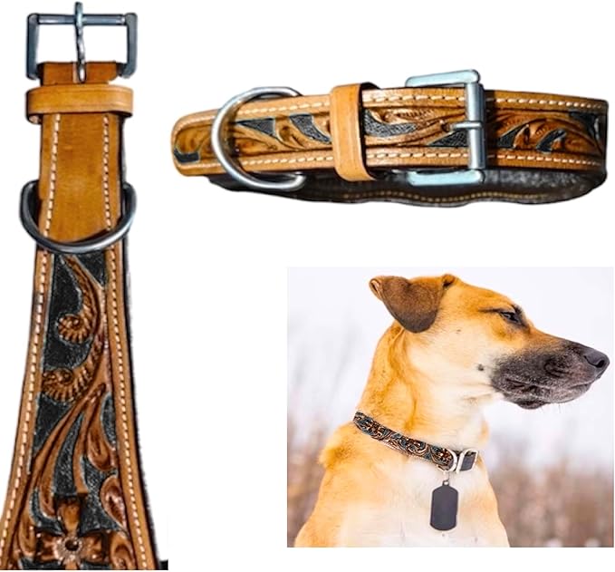 Majestic Ally Leather Dog Collar with Adjustable, Padded Fit for Walking, Hiking, and Running, Designer Western Wear for Puppies, Fancy Colors (Black - Natural, Extra Large)