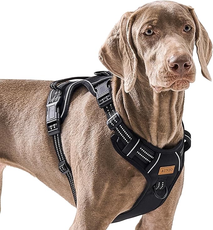 No Pull Dog Harness for Extra Large Dogs, Release on Neck, for Alaska Malamute, Bull Mastiff, Rottweiler, Great Dane etc, for Training Casual Walks Jogging, Easy Control Vest with Handle, Black, XL