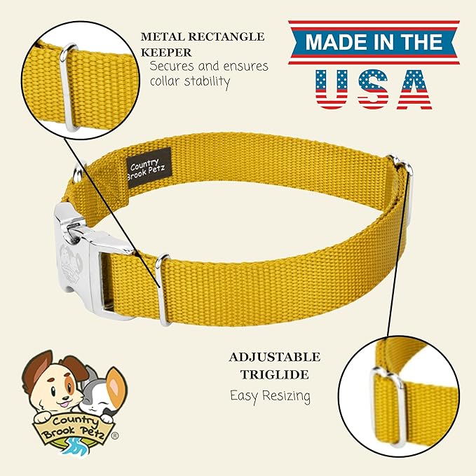 Country Brook Petz - Premium Nylon Dog Collar with Metal Buckle for Small Medium Large Breeds - 10+ Warm Colors (Extra Large, 1 Inch, Gold)