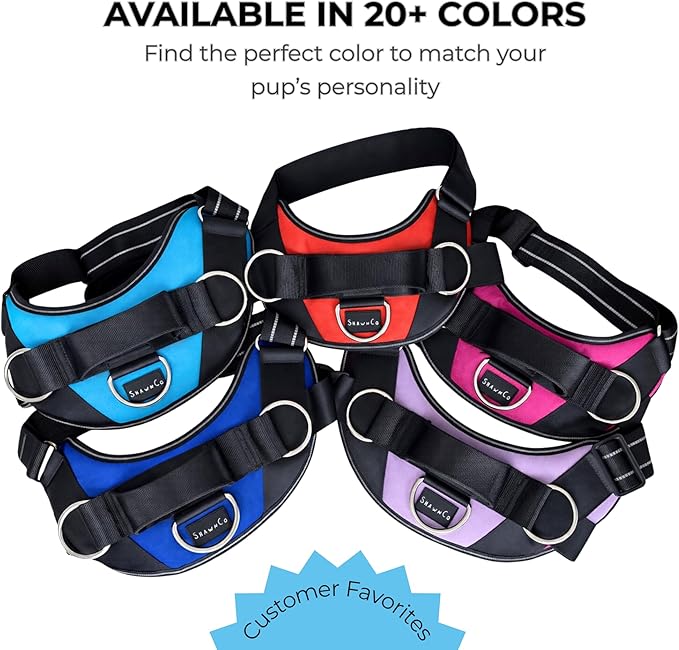 ShawnCo Essential Dog Harness, No-Pull Pet Vest with 3 Leash Clips, No Choke, Reflective, Adjustable and Padded, for Easy Walking and Training for Small, Medium and Large Dogs (Stars and Stripes, S)