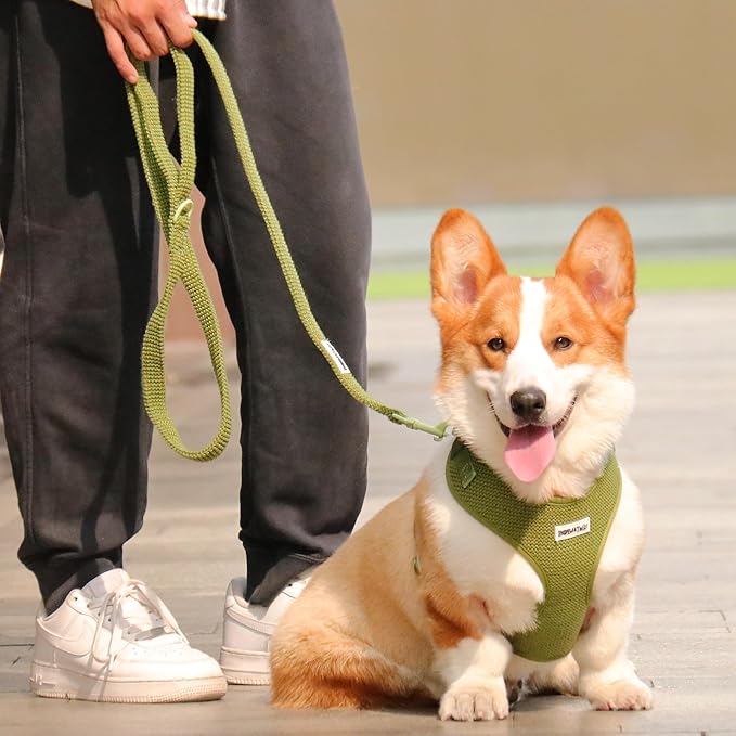 No Pull Dog Vest Harness for Small&Medium Dogs, Side Clip Adjustable Pet Vest, Soft Breathable, Fashion Dog Harnesses for Walking, Running, Shopping (Khaki Green, M)