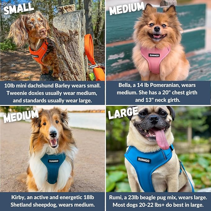 DJANGO Adventure Dog Harness - Stylish, & Durable Large Dog Harness for Outdoor Adventures and Everyday Wear - Sunset Orange Neoprene Adjustable Harness for Dogs with Reflective Piping & Brass D-Ring