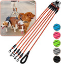 Five Dog Leash - 5 Way Leash for Walking & Training, 360 Swivel No Tangle, Comfortable with Reflective Strips