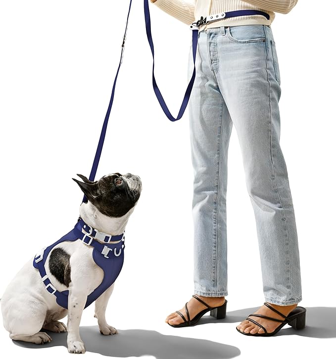 WLK1004J-5SET Luna Small 8FT Adjustable 6-in-1 Waterproof Hands-Free Leash and Collar with LED Flashlight, Bag Dispenser, and Poop Bag Holder, Highball
