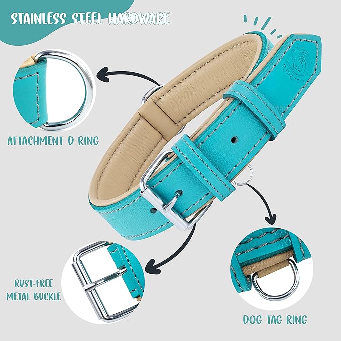 Riparo Adjustable Leather Dog Collar - Heavy Duty Wide Dog Collar for Small, Medium, Large and Extra Large Dogs with Dog Tag Holder (XXL: 2” Wide for 26”-29” Neck, Aqua)