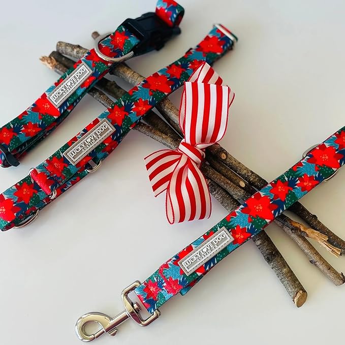 Lucky Love Dog - Adjustable Dog Collar with Easy Click Noel for Large Ones, Durable, & Comfortable for Male & Female Dogs, Pet Collar for Puppies & Adult Dogs - Noel, Large