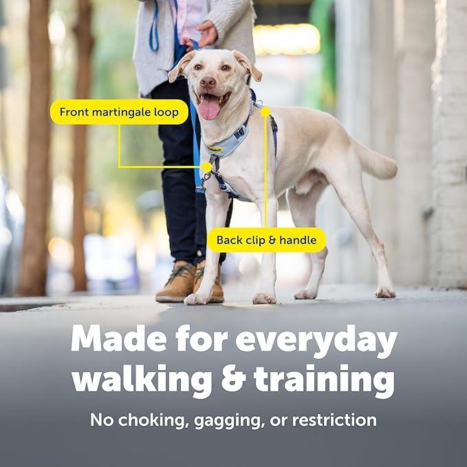 PetSafe Easy Walk Comfort No-Pull Dog Harness - Better Walk Training Harness - Full Body Padded Design - Durable Fabric - 5 Point Adjustable Fit - Everyday Leash Training - Black - Large