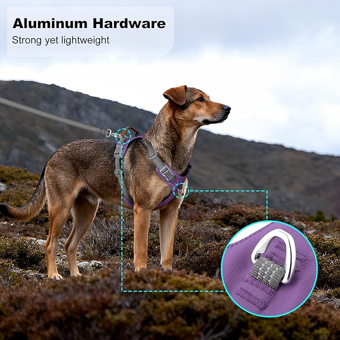 No Pull Dog Harness – Adjustable Reflective Nylon Vest for Small Medium Large Dogs, Escape Proof Training Harness with Leather Control Handle, Lightweight Aluminum Hardware (Purple, M)