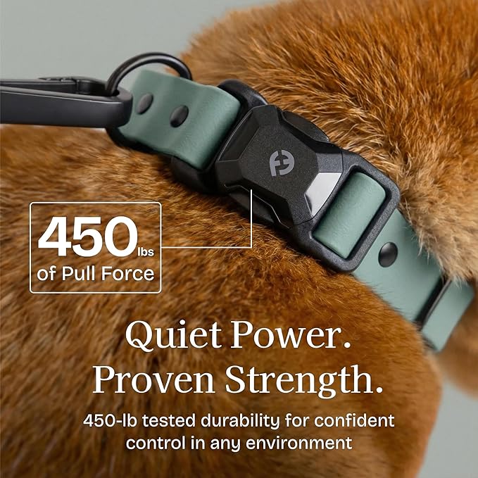 2026 New Edition, Fei & Eve PVC MagEase Dog Collar - Patented Magnetic Buckles | Fur-Safe | 450LB Escape-Proof | Adjustable Fit | Large (Glacier Green)