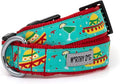 THE WORTHY DOG Clearance Patterned Nylon Dog Collar – Adjustable Durable Everyday Collar with Quick-Release Buckle & Nickel-Plated-Cinco de Mayo - Turquoise, X-Small