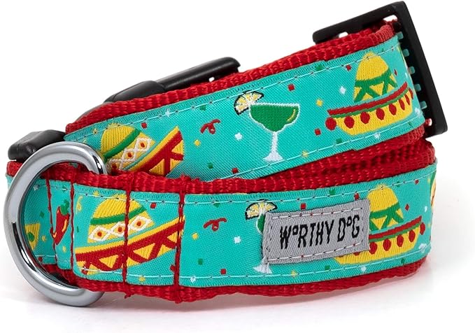 THE WORTHY DOG Clearance Patterned Nylon Dog Collar – Adjustable Durable Everyday Collar with Quick-Release Buckle & Nickel-Plated-Cinco de Mayo - Turquoise, X-Small