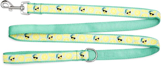 THE WORTHY DOG Lemons Patterned Nylon Leash for Dogs, Stylish, Durable, Woven Ribbon - Lemon Green, Small
