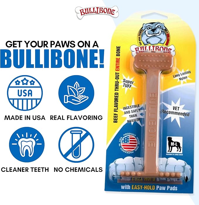Bullibone Nylon Dog Chew Toy for Aggressive Chewers - Dental Hygiene Bone with Beef Flavor, Durable Tough Chew Toys for Large Dogs, Indestructible Dog Bone - 2 Pack