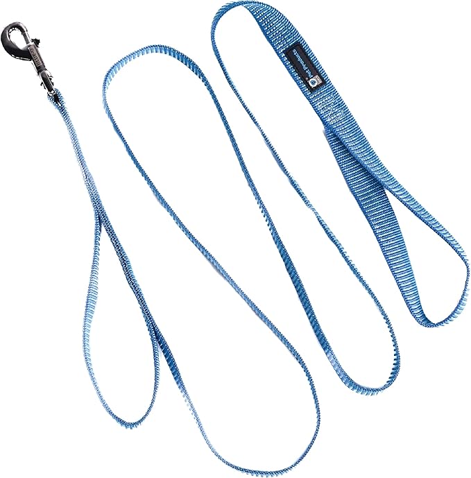 Blue-9 Reflective Dog Leash, Multi-Function 6 Foot Adjustable Lead with Traffic Loop and 3M Reflective Stitching for Obedience, Running, and Agility Training, Made in The USA, Medium/Large, Blue