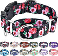 Martingale Collar for Dogs Pink Floral Dog Collars for Small Dogs with Buckle Girl Female Soft Nylon Dog Collar (Black Pink Rose, S)