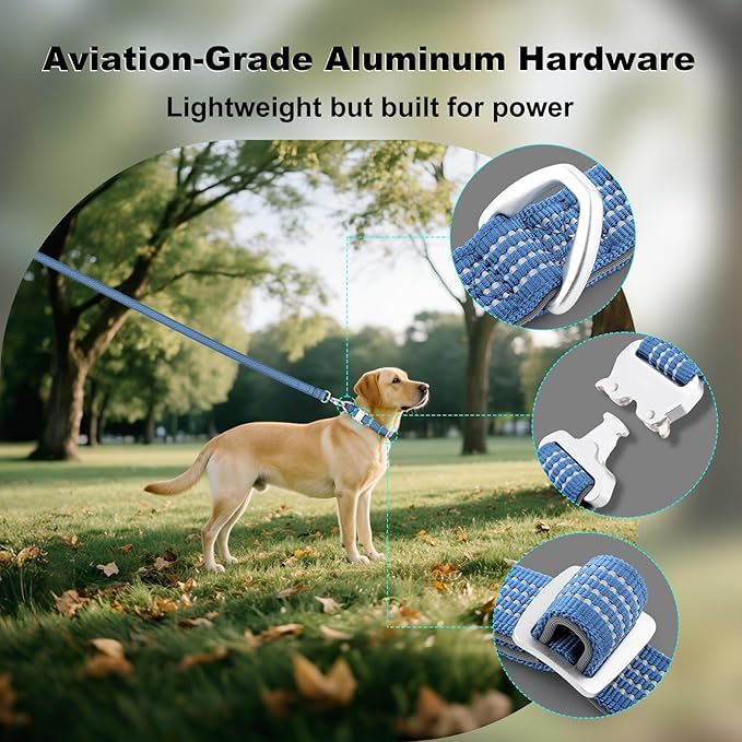 Plutus Pet Reflective Dog Collar with Aviation Aluminum Buckle, Neoprene Padded for Comfort, Lightweight, Heavy Duty Nylon Collar for Puppy Small Medium Large Dogs (Blue, XL)