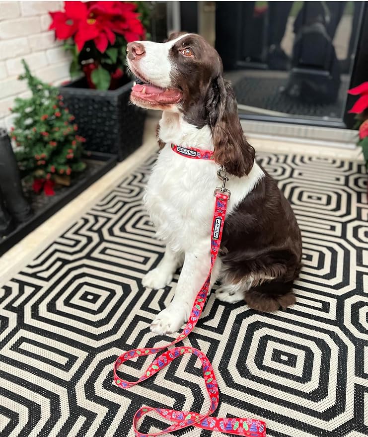 Lucky Love Dog, Winter Stocking Caps and Mittens Dog Collar and Leash Set, Matching Snowflakes Collar and Leash for Male and Female Dogs - (Small, Chilly Combo)