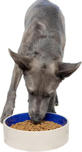 SPOT Standard Crock Dish - Heavy Duty, Non-Slip, Round Ceramic Food/Water Bowl for Pets, Ideal for Medium to Large Dogs or Multiple Animals, Dishwasher Safe - 9.5 in, 8 Cups, (64 Oz)