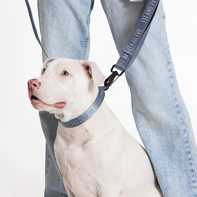 2026 New Edition, Fei & Eve MagEase Dog Collar - Patented Magnetic Buckles | Fur-Safe | Premium 210D Nylon | 450LB Escape-Proof | Adjustable Fit | Medium (Dusk Blue)