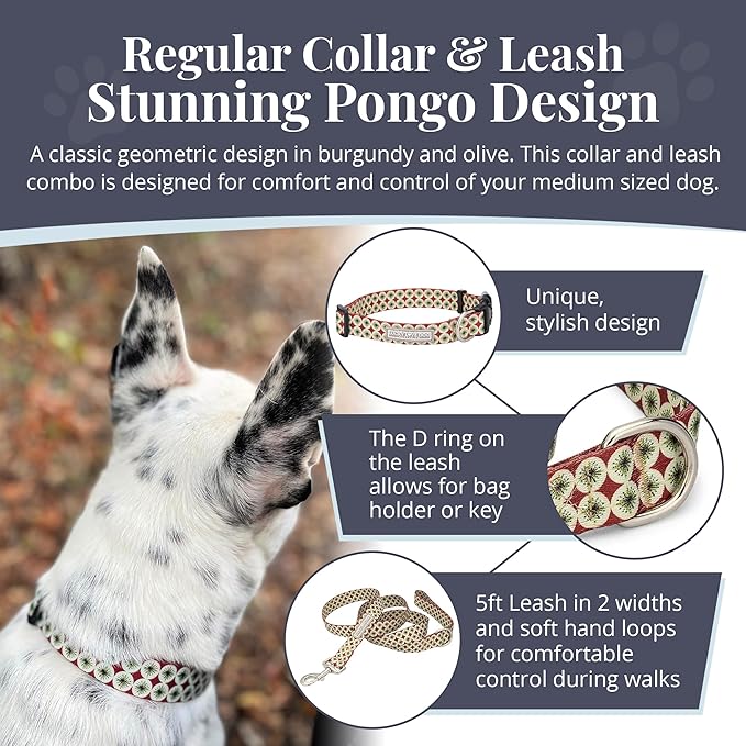 Lucky Love Dog - Easy Click Buckle Dog Collar with Leash Set Combo, Durable & Comfortable for Male & Female Dogs, Pet Collar for Medium Dogs, Secure Fit - Pongo Combo, Medium