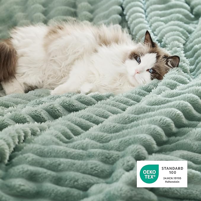 Bedsure Sherpa Blanket Queen Size for Bed - Super Soft, Cozy Fleece Thick Warm Blanket for Winter, GentleSoft Home Room Decor, Sage Green, 90x90 Inches