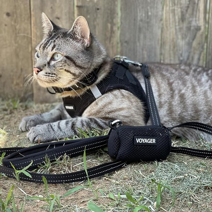 Voyager Step-in Pet Harness - All Weather Mesh, Adjustable Step in Harness for Cats and Dogs by Best Pet Supplies - 307S Black, M