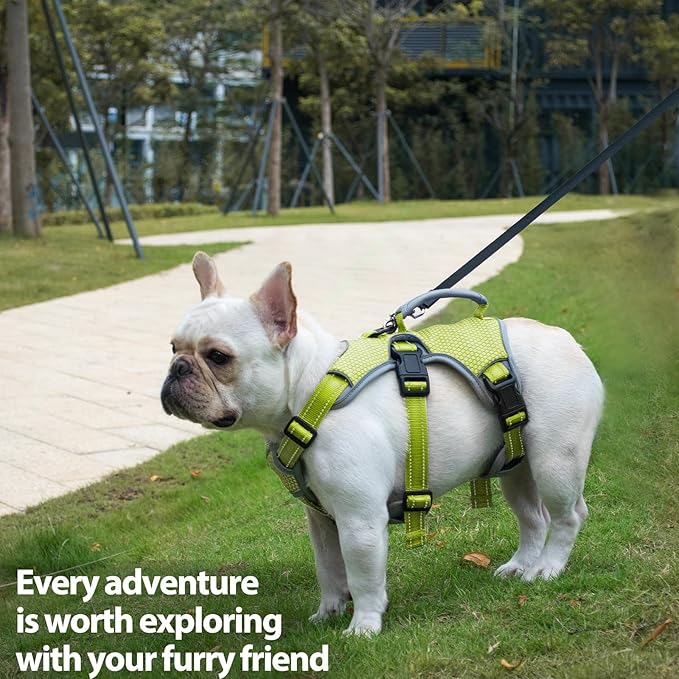 Huntboo Escape Proof Dog Harness, Escape Artist Harness, Reflective Dog Harness with Handle, Durable,Adjustable Vest for Small Medium Large Dogs Walking, Training, and Running Gear(Green,L)