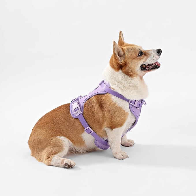 HNS1002H Arlo Medium Adjustable Soft Padded No Pull Pet Harness with 3 Buckles and 3 Leash Clips, Bramble