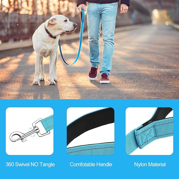 Vicenpal 12 Pcs Double Sided Reflective Dog Leash with Soft Padded Handle, Bulk Nylon Animal Leashes for Medium and Large Dogs Heavy Duty Animal Leash for Walking, Training, 6 Colors(6 ft,Cute Colors)