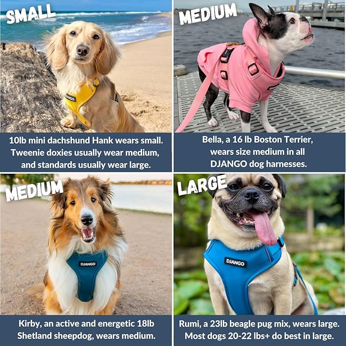 DJANGO Adventure Dog Harness - Stylish, and Durable Medium Dog Harness for Outdoor Adventures and Everyday Wear - Quartz Pink Neoprene Adjustable Harness for Dogs with Reflective Piping, Brass D-Ring