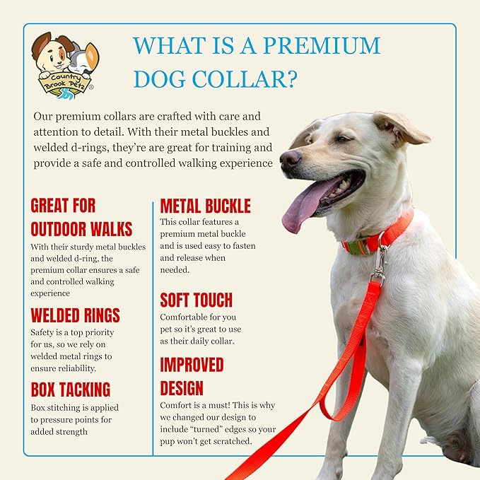 Country Brook Petz - Premium Nylon Dog Collar with Metal Buckle for Small Medium Large Breeds - 10+ Warm Colors (Extra Large, 1 Inch, Hot Orange)
