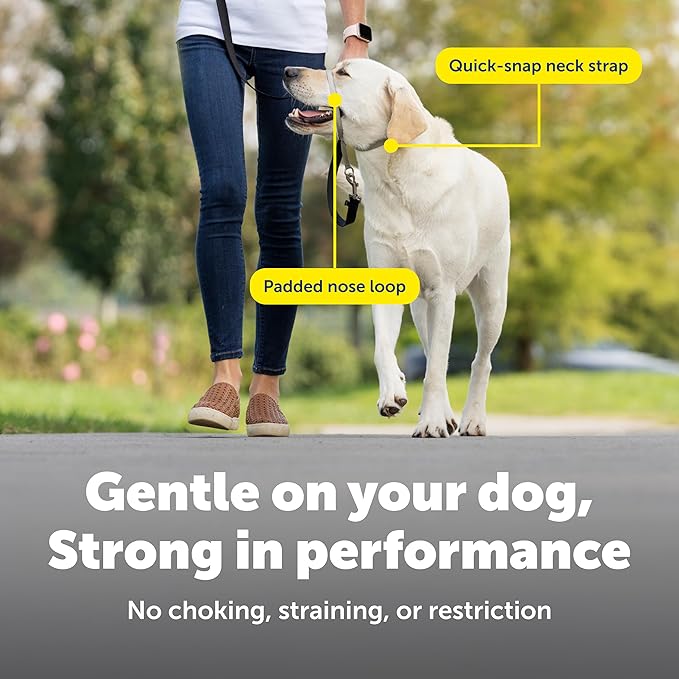 PetSafe Gentle Leader Headcollar No-Pull Dog Collar - Helps Improve Walks - Durable Nylon Construction - Padded Nose Loop - Adjustable Fit - Comfort Walking Halter - Small, Deep Purple