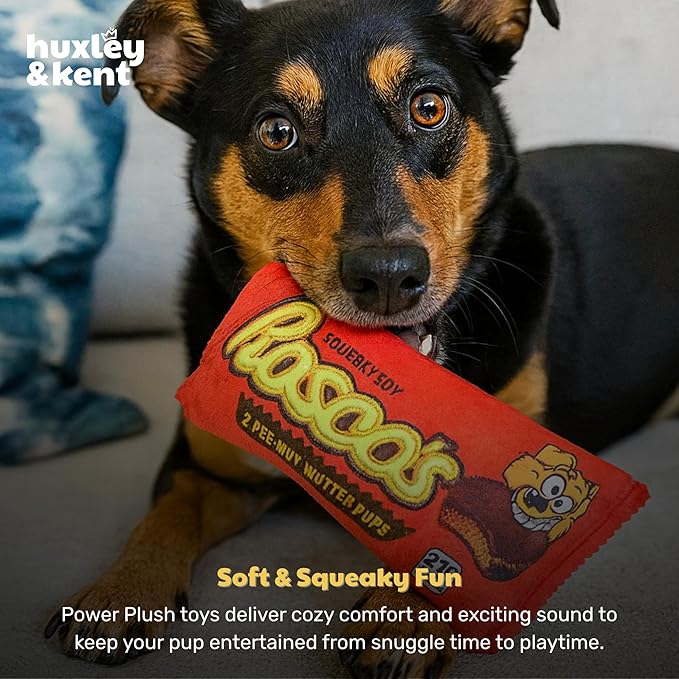 Huxley & Kent Funny Dog Toy w/Squeaker – Power Plush Squeaky Dog Toys for Small, Medium & Large Dogs – Soft Stuffed Animal for Indoor Play & Fetch - Roscos, Large